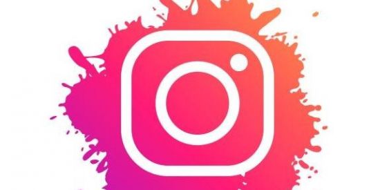 Imagem do grupo de WhatsApp Iɴᴛᴇʀᴀᴄ̧ᴀ̃ᴏ Iɴsᴛᴀɢʀᴀᴍ ✨✅