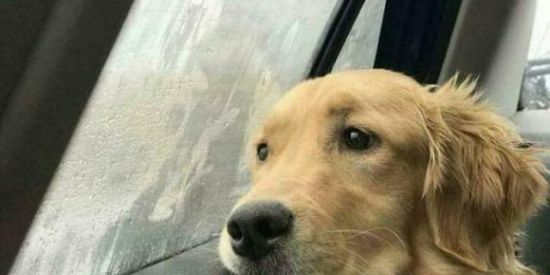 Imagem do grupo de WhatsApp 🌸 NOVOS RELACIONAMENTOS 🌸