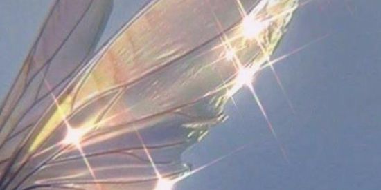 Imagem do grupo de WhatsApp Winx club🧚🏼‍♀️✨