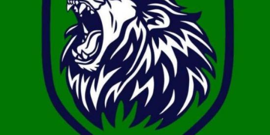 Imagem do grupo de WhatsApp TIPs Right 0️⃣4️⃣ ☘️🎯