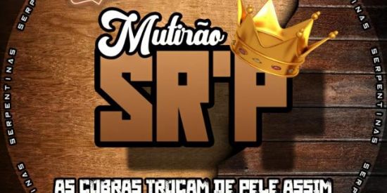 Imagem do grupo de WhatsApp Recrutamento 🕊️