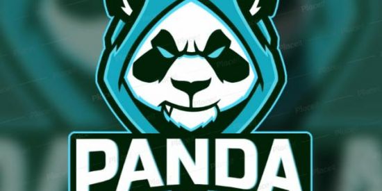 Imagem do grupo de WhatsApp 🐼SUB PANDA|REC.EP'S🐼
