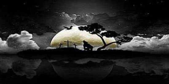 Imagem do grupo de WhatsApp 𓏲 ֶָ֢ 🕸αɳʝσʂ ҽ ԃҽɱσɳισʂ𓂃🌙✦