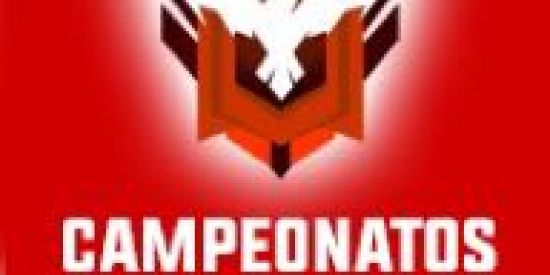 Imagem do grupo de WhatsApp CFF 1 - DIVULGAÇÃO DE CAMPS E DIÁRIOS DE FREEFIRE