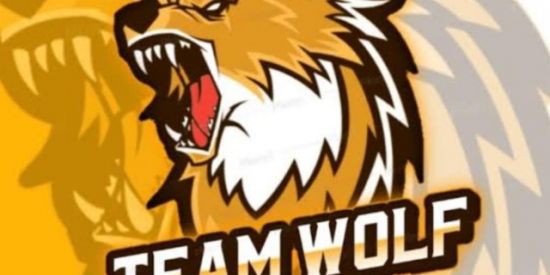 Imagem do grupo de WhatsApp RECRUTAMENTO TEAM WOLF