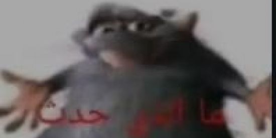 Imagem do grupo de WhatsApp TUDO RELACIONADO A FREE FIRE