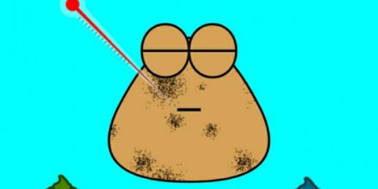 Imagem do grupo de WhatsApp Namoro pelo zap