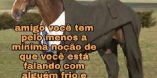 Imagem do grupo de WhatsApp Figurinhas e Amizade