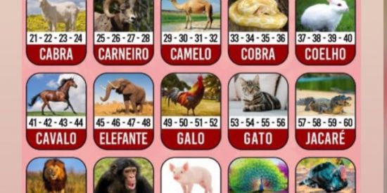 Imagem do grupo de WhatsApp Grupo do Neri