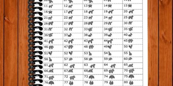 Imagem do grupo de WhatsApp Michelle rifas