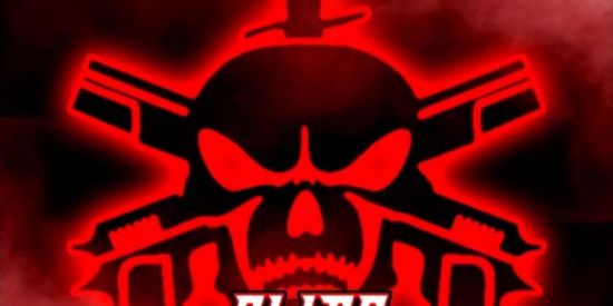 Imagem do grupo de WhatsApp Recrutamento ELITE GAMING