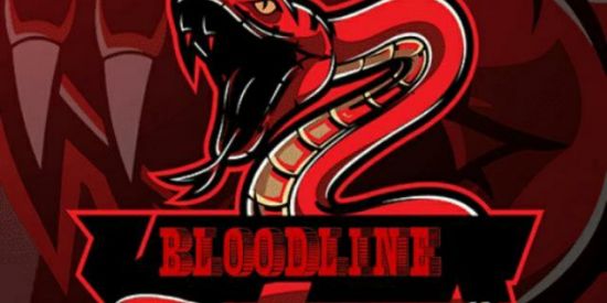 Imagem do grupo de WhatsApp XT BLODLINE🚂♨️