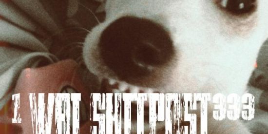 Imagem do grupo de WhatsApp 1 WBI SHITPOST333🛐🐕