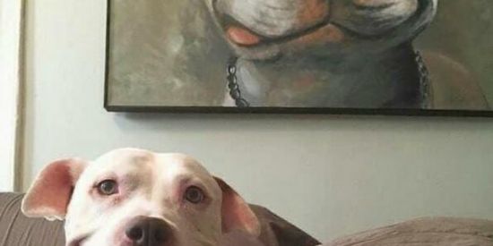 Imagem do grupo de WhatsApp Papoco😛