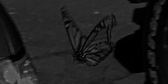 Imagem do grupo de WhatsApp Ganhar seguidores no insta