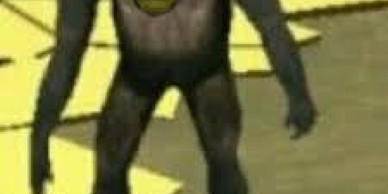 Imagem do grupo de WhatsApp SO ZUAÇÕES 🧐🤝