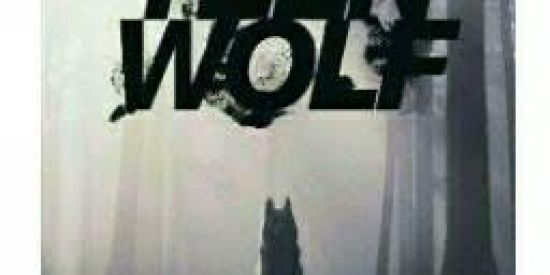 Imagem do grupo de WhatsApp Teen wolf🐺🌕