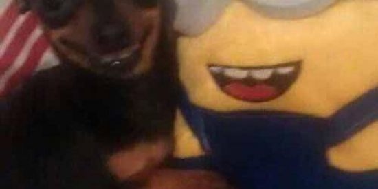 Imagem do grupo de WhatsApp .