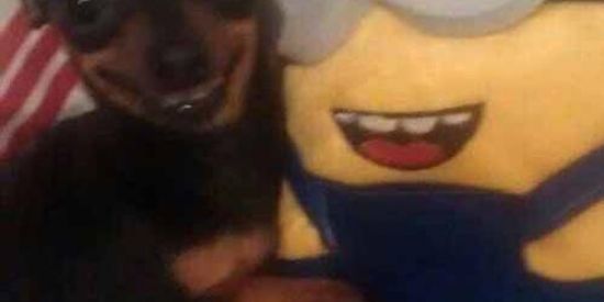 Imagem do grupo de WhatsApp Sem nome