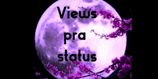 Imagem do grupo de WhatsApp _Views pra status on_ 02🌻🔥