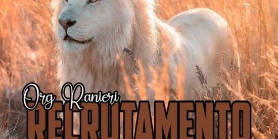 Imagem do grupo de WhatsApp Rᴇᴄʀᴜᴛᴀᴍᴇɴᴛᴏ||•Rᴀɴɪᴇʀɪ🦁