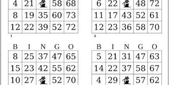Imagem do grupo de WhatsApp Bingo