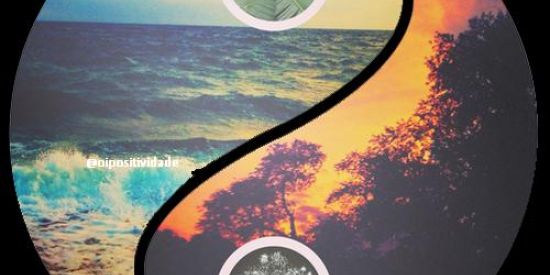 Imagem do grupo de WhatsApp SEGUIDORES+DIVULGAÇÃO🆙