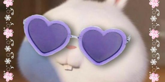 Imagem do grupo de WhatsApp ৎ❥̤֟٭ۣۜ亇ƯĐΘ🥰ԲΘƒΘ✦ۣۜۜ☆