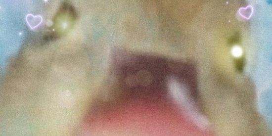 Imagem do grupo de WhatsApp Grupo Do Patinho Feio 🦆