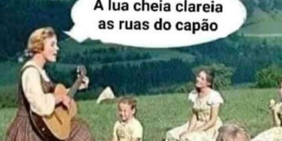 Imagem do grupo de WhatsApp GALIVIS🐔