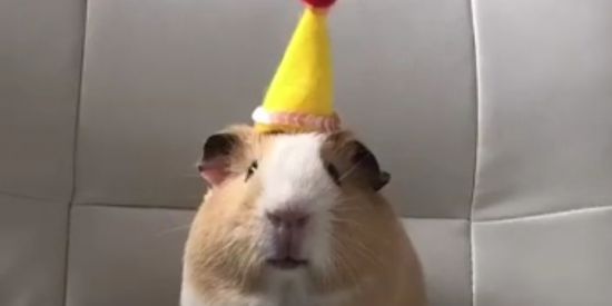 Imagem do grupo de WhatsApp Encontre uma namorada bonita