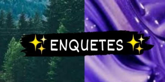 Imagem do grupo de WhatsApp ✨ENQUETES✨