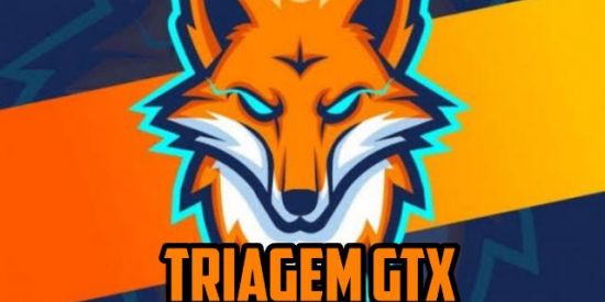 Imagem do grupo de WhatsApp TRIAGEM GTX🦊
