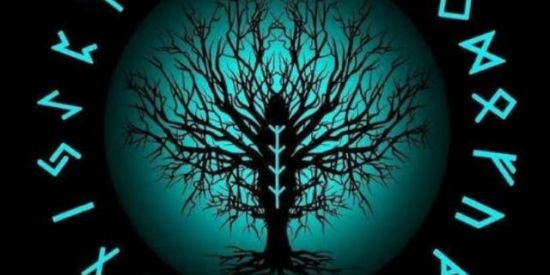 Imagem do grupo de WhatsApp 【 ΘF⇝DΔRK 】ꪶWΔRꫂ