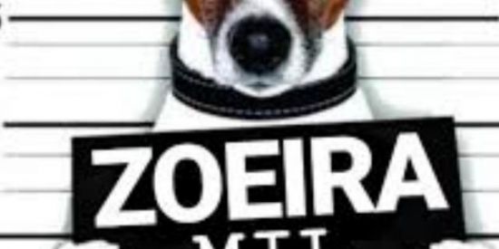 Imagem do grupo de WhatsApp Grupo de zoeiras