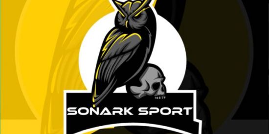 Imagem do grupo de WhatsApp SONARK SPORT-RECRUTAMENTO