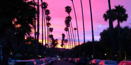 Imagem do grupo de WhatsApp ⇜🪐🌴Clube ➀➈➅➈🌴🪐⇝