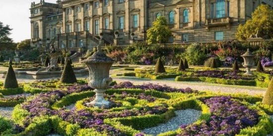 Imagem do grupo de WhatsApp Internato charterhouse-RPG