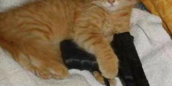 Imagem do grupo de WhatsApp 🥀ᎶRUPᎾ DᎾЅ BRᎯBᎾЅ🥀