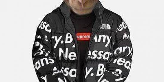 Imagem do grupo de WhatsApp Resenha de cria✅🙅