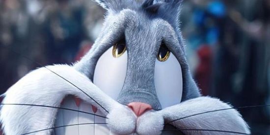 Imagem do grupo de WhatsApp Só Lokos