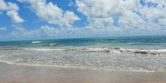 Imagem do grupo de WhatsApp Esquema 081