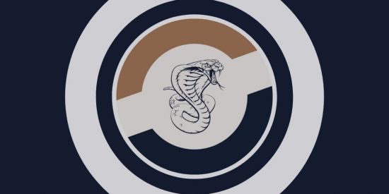 Imagem do grupo de WhatsApp Triagem de seguidores