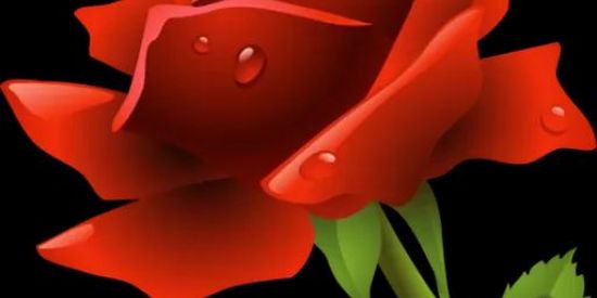 Imagem do grupo de WhatsApp Pessoas Lindas 💃🏼🕺🏼