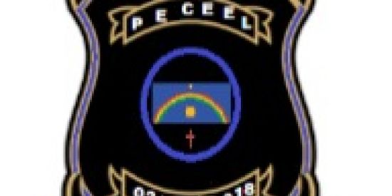 Imagem do grupo de WhatsApp Segurança/PE (Peceel)