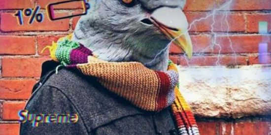 Imagem do grupo de WhatsApp DIVERSÃO SEM LIMITES 🔥✨