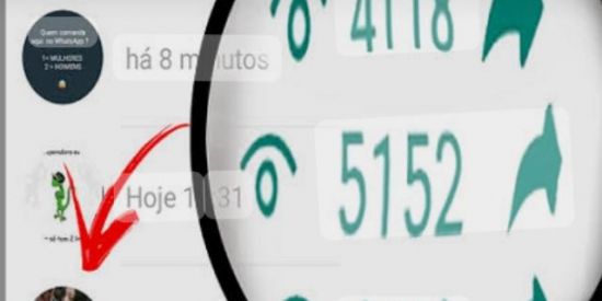 Imagem do grupo de WhatsApp Visualização  de status ♡