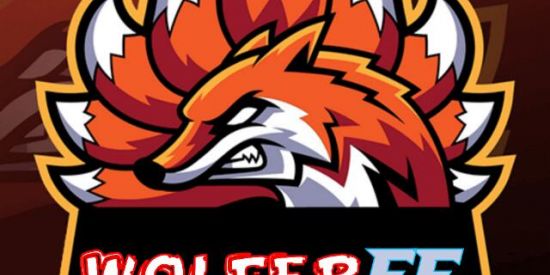 Imagem do grupo de WhatsApp ⚔️The Wolfer.FF🛡️