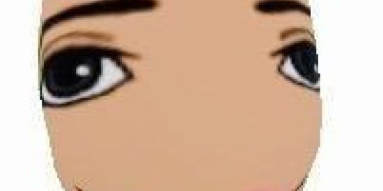 Imagem do grupo de WhatsApp Ironia