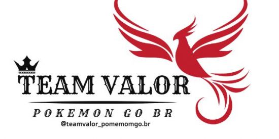 Imagem do grupo de WhatsApp TEAM VALOR 🇧🇷POKEMON GO BR